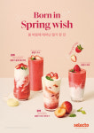 셀렉토커피, 봄딸기 자두 비안코 등 시즌 한정 생딸기 듬뿍 시리즈 4종 출시