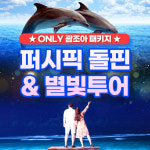 괌조아닷컴 돌핀크루즈, 별빛투어 옵션 패키지 출시