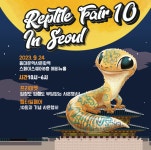 제 10회 렙타일페어 in 서울, 서울 동대문역사문화역서 개최