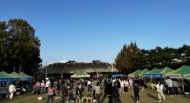 반려동물문화협동조합, 2023 페로페스티벌 성황리에 개최