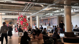 복합문화공간 춘천 올데이스테이, 크리스마스 시즌 맞이 초대형 트리 오픈