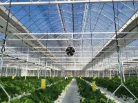 스마트농업기업 그린팜스글로벌, 양액 폐기물 자원화 기술 특허 등록