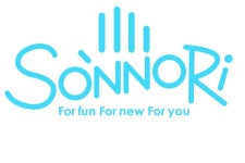 화이트데이 로이게임즈, 다시 손노리로 사명 변경