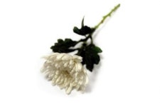 [부고] 데일리게임 이택수 대표 빙모상