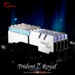 서린씨앤아이, 지스킬 고성능 메모리 트라이던트 Z 로얄 신제품 출시