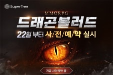 수퍼트리 올 하반기 MMORPG 신작 드래곤블러드 출시 예정