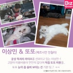 [카드뉴스] 난 스타를 집사로 두고 있다옹~ 부럽냐옹? (스타 반려묘 편)