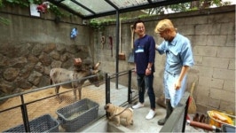 ‘하하랜드’, ‘동물농장’·‘개밥남’·‘세나개’와 어떻게 다른가