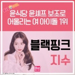 [카드뉴스]윤식당 보조로 어울리는 여 아이돌 1위 블랙핑크 지수