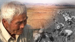 스트레이트, 서산 개척단 대관령 개척단 등 사회 정화 사업의 인권유린과 삼청교육대