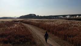 김영철의 동네 한 바퀴 미군 국제시장 햄버거ㆍ꼬마김밥ㆍ수제편육ㆍ억새밭ㆍ가마솥 밥…넉넉한 인심 평택