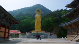 영상앨범 산 문장대ㆍ법주사ㆍ천왕봉…‘속세와 이별하는 산’ 속리산의 매력 속으로