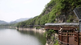 김영철의 동네 한 바퀴 충북 단양…와송만두ㆍ손칼국수ㆍ청국장ㆍ만천하 스카이워크ㆍ단양강 잔도ㆍ구경시장을 만나다