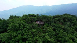 영상앨범 산 곁에 있어 소중한 청계산 돌문바위ㆍ이수봉…광교산 하오고개ㆍ바라산 전망대