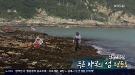 청등도, 미역이 자라는 푸른 청정 해역의 섬 공감 스페셜