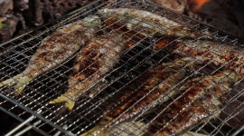 EBS 한국기행 가평 잣나무 숲속 집ㆍ천수만 꽃게 전어밥상, 정성 가득 채운 가을의 맛