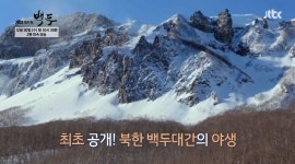 백두산 호랑이부터 황어까지 백두산ㆍ개마고원ㆍ양의대습지 야생 최초 공개(백두)