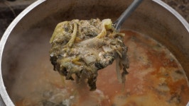 강릉 양미리알찜ㆍ양미리 장칼국수ㆍ청어 과메기 파스타ㆍ청어알 조림ㆍ안동 간 고등어 추어탕 등 겨울 추억의 맛(한국인의 밥상)