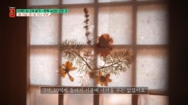 서울 북촌 15평 모던 한옥ㆍ용인 황토 한옥 희담재(건축탐구 집)