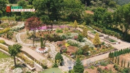 여수 바다다하우스ㆍ나무 품은 집, 나만의 정원(건축탐구 집)