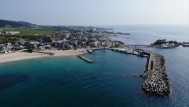 구룡포 아귀&도루묵ㆍ부산 기장 붕장어ㆍ경주 감포바다 참가자미&돌미역(한국인의 밥상)