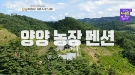 양양 중정 펜션→농장 펜션, 구해줘 숙소 강원도 힐링 숙소 찾기 대결