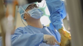 서종필 수의사 말 전문 동물병원 불철주야 24시ㆍ용산 악동 까마귀(TV동물농장)