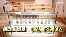 식스센스3, 강아지 위한 코스요리 펫다이닝 카페…제시 반려견 츄이 등장