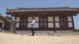 돈암서원 유기견 돌이, 백 년 된 아궁이 속 비밀은?(TV동물농장)