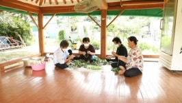 완주 위봉폭포 묵은지 닭볶음탕ㆍ삼례읍 열녀문 카페ㆍ소목장인 전주장, 동네한바퀴 이만기 만난다