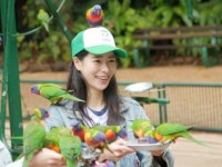 SBS 딱 한 번 간다면ㆍKBS2 연중플러스 편성표서 결방 확정…동물농장ㆍ커튼콜 재방송 편성