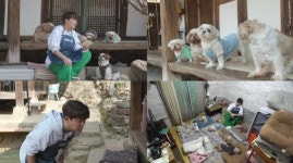 하동 한옥 집 시츄 집사 된 토니ㆍ주유소 이중인격 까치 까봉이(TV 동물농장)