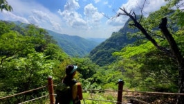 응진전과 청량사 품은 봉화 청량산(영상앨범 산)