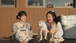 TV 동물농장 슬기 & 조이의 개봐드림 2탄 짜장이와 룽지 입양 홍보 나선다