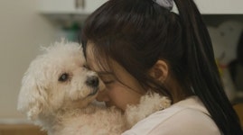 TV 동물농장 슬기 & 조이의 개봐드림 2탄 짜장이와 룽지 입양 홍보 나선다