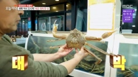 생방송 오늘저녁 김대호 아나운서, 퇴근후N 속초 대게 마을로…대게찜부터 오징어순대ㆍ대게라면까지