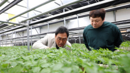 파주 심학산 도토리닭볶음탕ㆍ개성주악ㆍ감악산 장단콩환ㆍ마장호수 가마장인ㆍ프로방스 마을 우동집 찾는다(동네한바퀴)