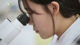 얼리어잡터 인천해사고등학교ㆍ대구 농업마이스터고ㆍ경북 바이오마이스터고등학교, 마이스터고에 간 아이들