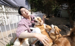 TV동물농장 백령도 주민들이 들려주는 점박이물범 이야기ㆍ웰시코기 루시 패밀리와 슬리피