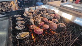 '전현무계획2' 사천 물메기탕ㆍ물회ㆍ사천 냉면ㆍ굴구이 맛집 탐방…유럽서 상상 못할 가성비