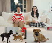 전진♥류이서X김미려 가족 집 찾아온 똥개와 동거 프로젝트 시작(너희가 똥개를 아느냐!)