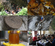 극한직업 중국 원시림 석청 채취꾼의 작업 현장