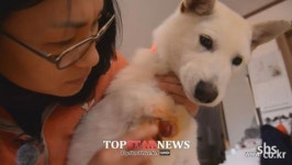 ‘TV동물농장’ 천재견 호야, 7개월 사이 ‘놀라운 성장’…‘깜짝’