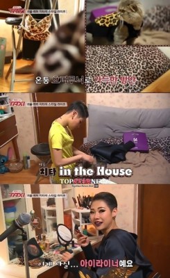 치타, ‘호피 무늬’로 가득한 집 공개… ‘치타 월드’ | 포토뉴스