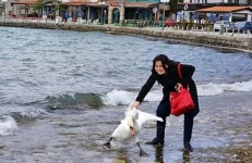 백조를 죽음으로 몰고간 여성 관광객