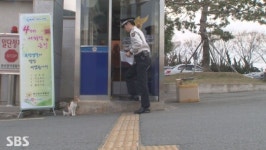 ‘동물농장’, 부산 강서경찰서 책임지는 고양이 ‘몰랑이’