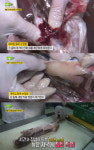 [예능리뷰] ‘생생정보’, 대박 동태전골 맛 집 전격 방문