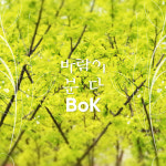 비오비코리아엔터테인먼트(주) | 비오케이(BOK), 23일 정오 신곡 ‘바람이 분다’ 발표…‘시선 집중’