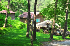 국립자연휴양림, 7월 추천 휴향림은?…‘대관령 자연휴양림’