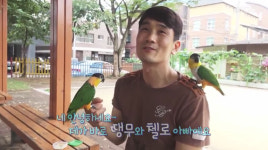 [방송리뷰] ‘생방송 오늘 저녁’, 뭐든지 척척…‘천재 앵무새 부부’